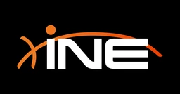 Logo INE