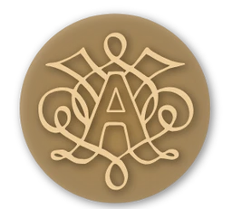 Logo Ameron Projects