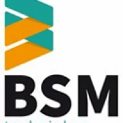 Logo BSM-TECHNIEKEN