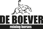Logo DB STABLES