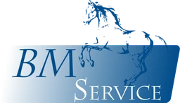 Logo BM Service