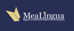 Logo Mea Adminis