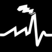 Logo Back to the Noise