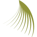 Logo ADVOCATENKANTOOR NICOLAS DUQUESNOY