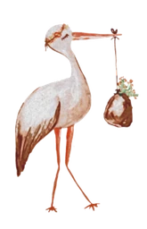 Logo VROEDVROUW CHLOE