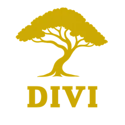 Logo DiVi fashion
