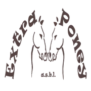 Logo EXTRA PONEY