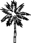 Logo ATELIER PALMIER