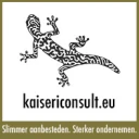 Logo KAISERI CONSULT