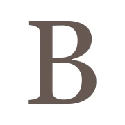 Logo BRIXIUS