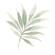Logo Jane Omorogbe