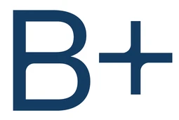 Logo BORRENBERGS WONINGINRICHTING EN PROJECTEN BV