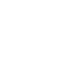 Logo Vorelec