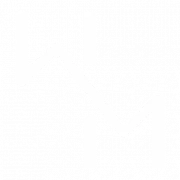 Logo WALL ON MEDIA