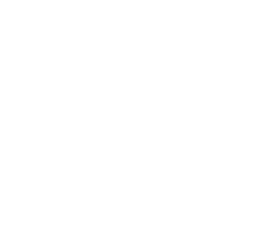 Logo DYLECTRO