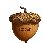 Logo BIG OAK