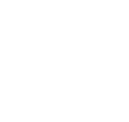Logo VERTIX