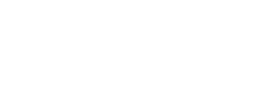 Logo Leisure Pioneers