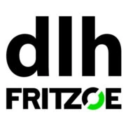 Logo DLH