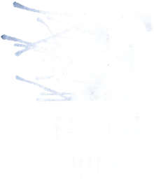 Logo FATHOM HIGH