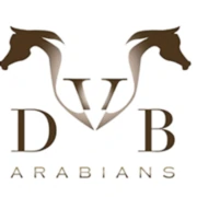 Logo VDB ARABIANS