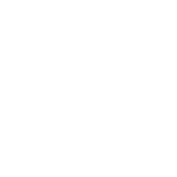 Logo CrossFit 3900 Box