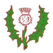 Logo DISTELING TISSELT vzw