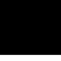 Logo Ayden