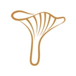 Logo KAMPERNOELIE