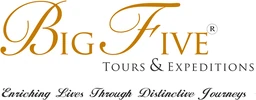 Logo Big Five