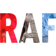 Logo De Weerdt