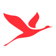 Logo WYN