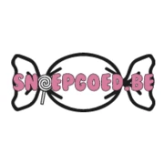Logo SWIM - FUN