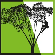 Logo 3LIGNUM