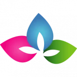 Logo Association SEVE