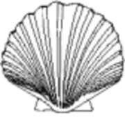 Logo LA CONCHIGLIA LTD