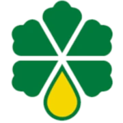 Logo NESSO