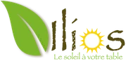 Logo ILIOS SAVEURS