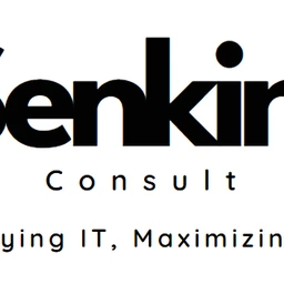 Logo Senkinz Consult