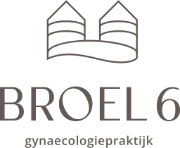 Logo Broel 6
