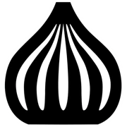 Logo ONION VISION