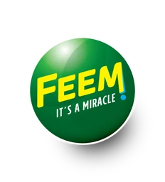 Logo FEEM GROUP