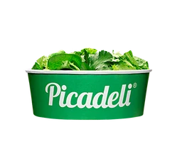Logo PICADELI LOGISTICS BELGIUM