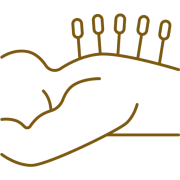Logo PETER PAULISSEN
