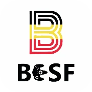Logo BELGIAN ESPORTS FEDERATION