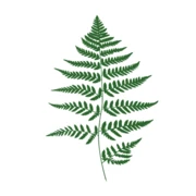 Logo XSAMPLY