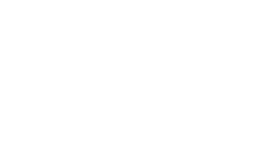 Logo SLV GROUP