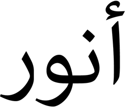 Logo Anouar Antwerp