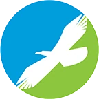 Logo EAGLE PROJECTS