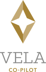 Logo VELA GROUP